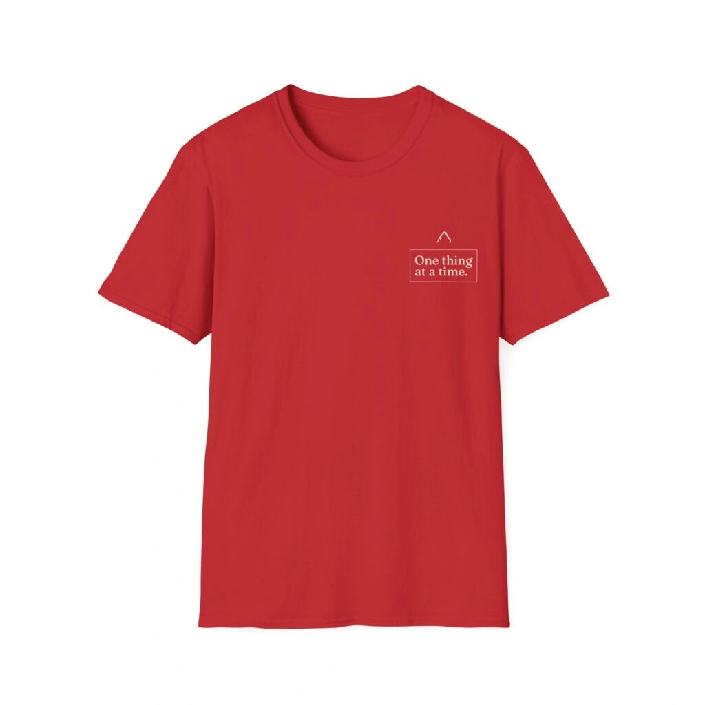 Camiseta | Allegedly