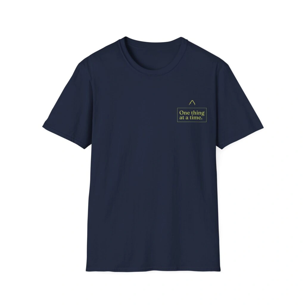 Camiseta | Allegedly